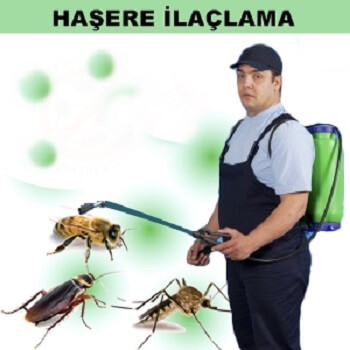 Silvan Böcek İlaçlama